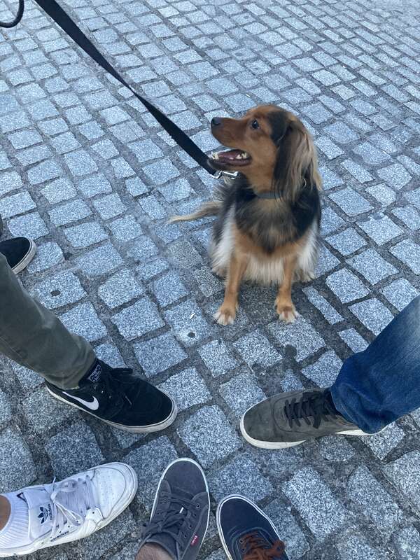 Foto de Teodoroteo al acabar el juego